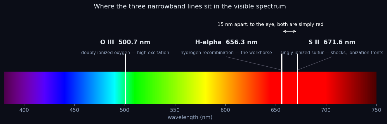 The visible spectrum from 380 to 750 nanometres with three lines marked: O III at 500.7 in the blue-green, H-alpha at 656.3 and S II at 671.6 both in the red, the last two only 15 nm apart.